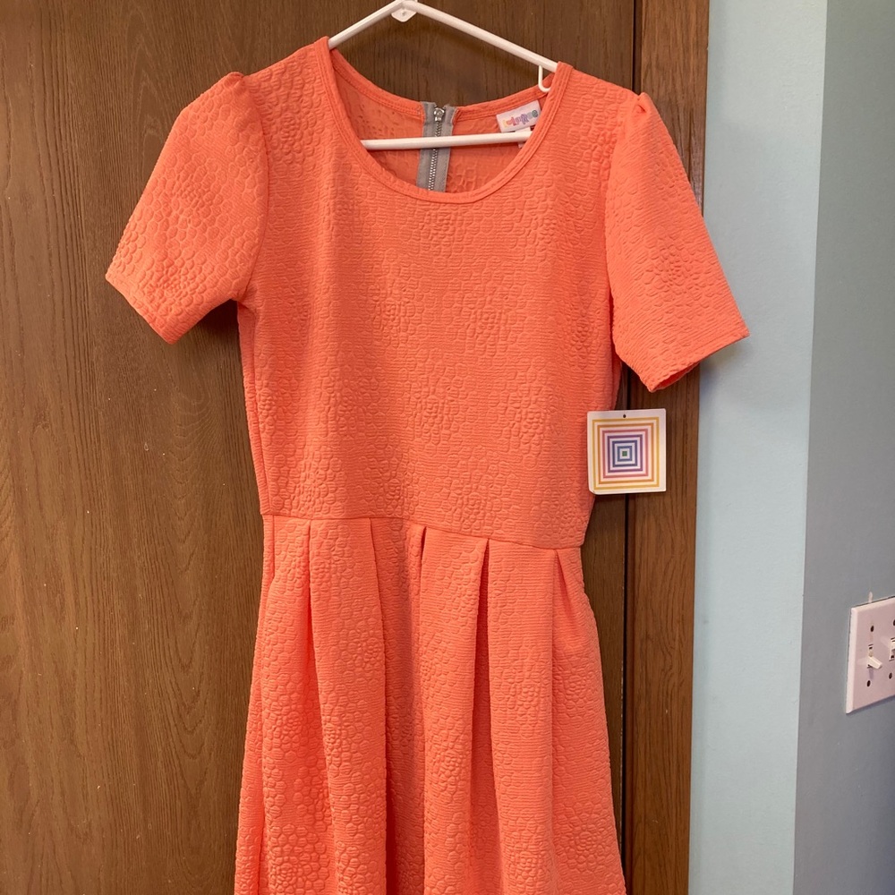 Lularoe Amelia dress NWT Size M